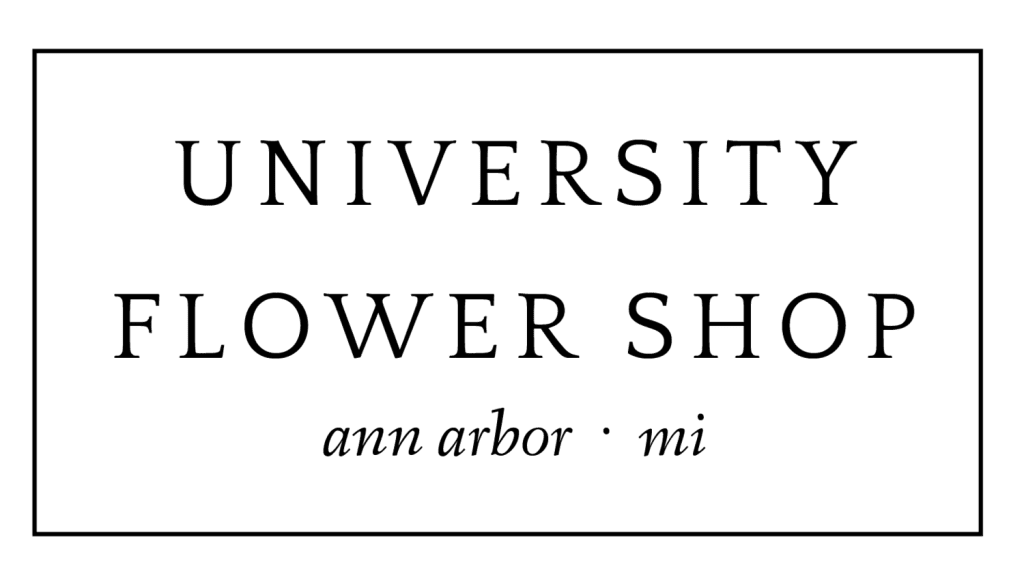 Apples And Oranges Ann Arbor's Best Computer Repair